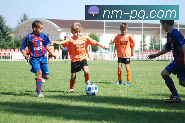 pg电子全站App pg电子全站App